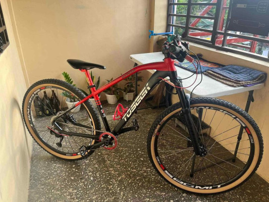 TOSEEK BRANDON 29ER RUSH PRICE FULLY UPGRADED