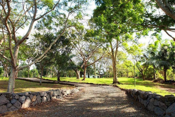 FARM HOUSE Owned by a Famous Designer in the Philippines