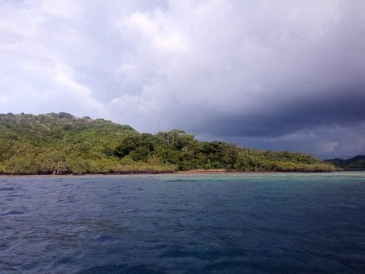 Island property for sale