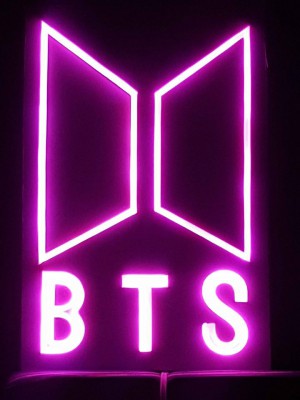 RGB NEON FLEXIBLE LED LIGHTS