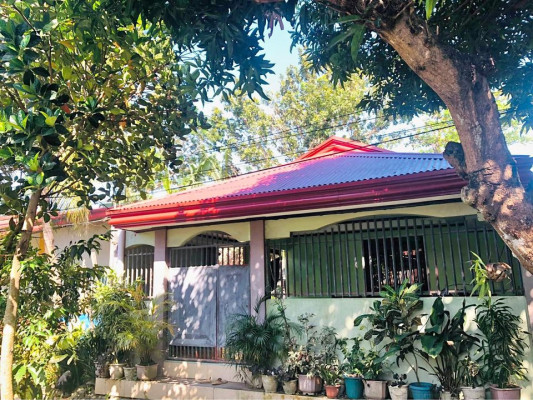 HOUSE & LOT FOR SALE