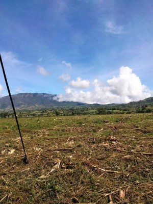 Farmlot for sale at Aposkahoy Claveria