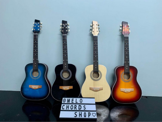 Acoustic Guitars