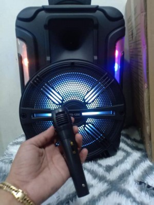KTS-12OO Speaker 12