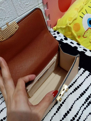 Aldo Sling Bag (Preloved)