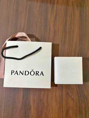 Pandora Bracelet with Charm