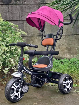 Stroller bike