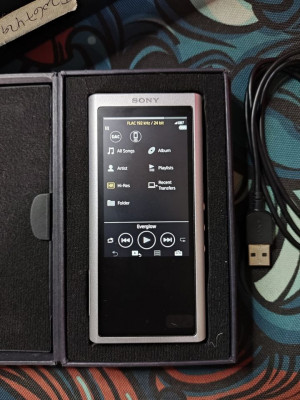Sony Walkman ZX300A (Silver)