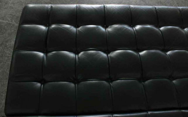 Tufted Leather Sofa | Daybed
