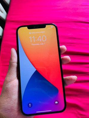 Iphone 12 Pro Max 256gb