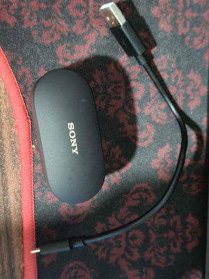 Sony WH-1000XM4 Wireless Earbuds