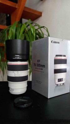 CANON LENS EF 70-300mm f/4-5.6L IS USM (Telephoto Lens)