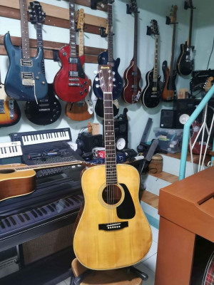 Morris MD 506 acoustic guitar