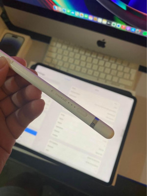 iPad Pro M1 12.9 inch 256 Gb wifi only