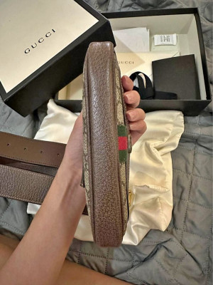 Gucci ophidia belt bag