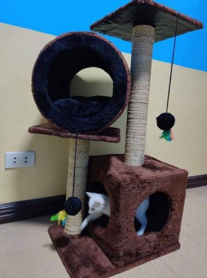 Cat House