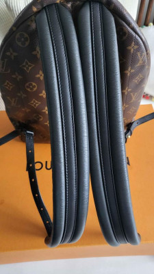 Louis Vuitton Palm Spring Backpack