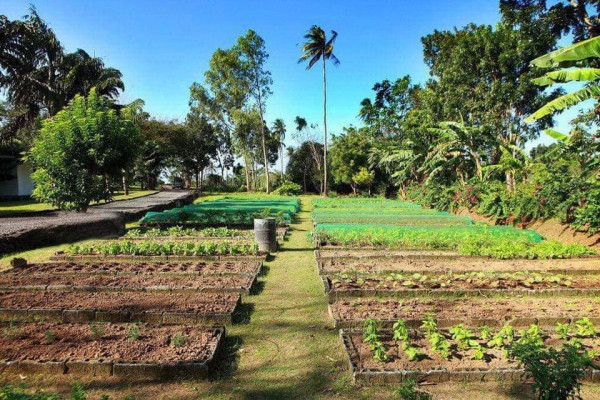 FARM HOUSE Owned by a Famous Designer in the Philippines