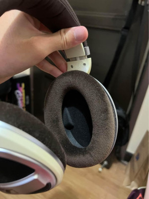 [SELLING] Sennheiser HD599
