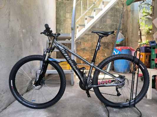 Specialized mountain bike for Sale