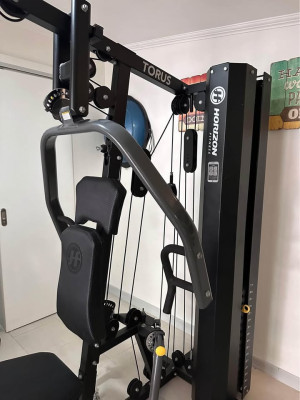Horizon Workout Machine