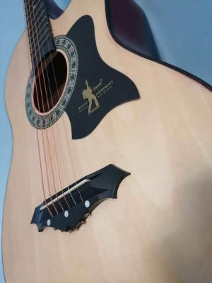 Brandnew Acoustic Guitar