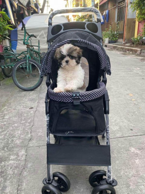 brand new pet stroller