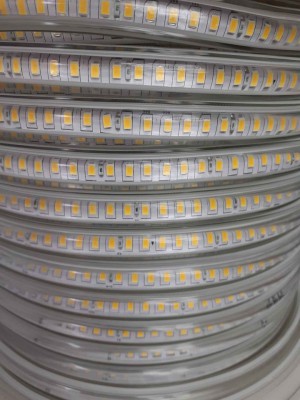 Strip covelight 5050