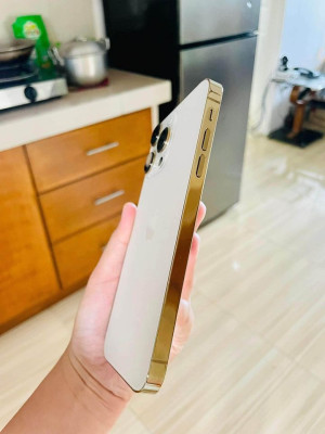 iPhone XR 64GB MODIFIED TO iPhone 13 Pro Openline