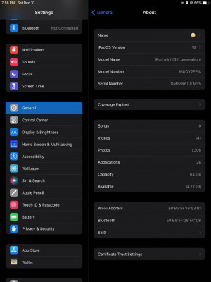iPad mini 5 Gold 64gb Wifi only