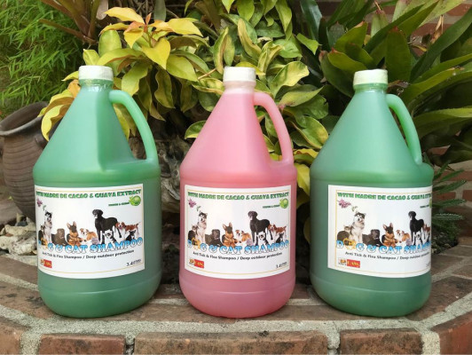 MADRE DE CACAO SHAMPOO