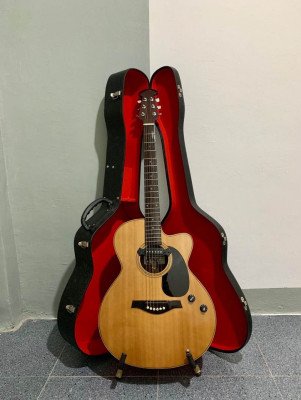 Guitars for Sale
