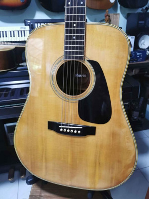 Morris MD 506 acoustic guitar