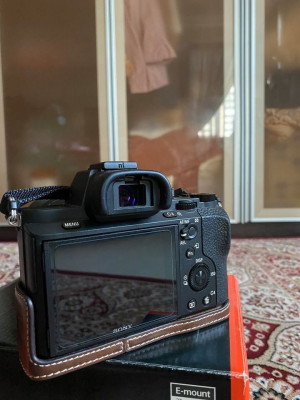 Sony A7ii