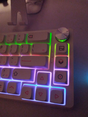 Rakk Pirah w Akko Ocean Blue