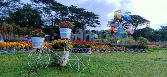 NicoleTravels - Beach escapade + Infinity pool