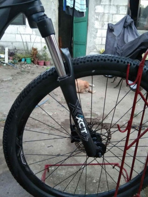 Giant Atx 27.5 rush .