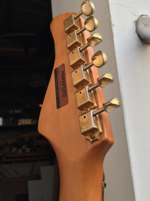 FERNANDES DET-1 | Electric Guitar