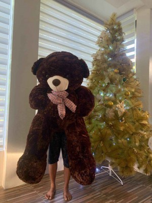 Human sized Teddy bear