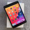 iPad Mini 4 64Gb Space Gray With Cellular