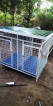 Dog cage brand new