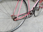 Classic Bike RB Single Speed