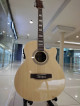HARRISON ACOUSTIC GUITAR WITH FREEBIES