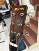 Morris W-18 Acoustic Guitar (Dreadnought)