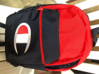Original Champion backpack