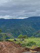 TOURIST FARM LOT IN CLAVERIA