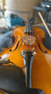 Strad violin