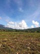 Farmlot for sale at Aposkahoy Claveria