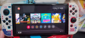 FS Nintendo Switch OLED Set