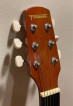 Fernando CAG-200CNA Guitar